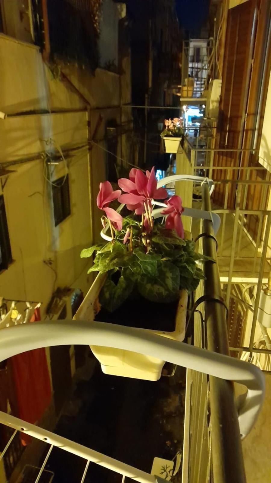 Casa Kyla Apartment Палермо Екстериор снимка